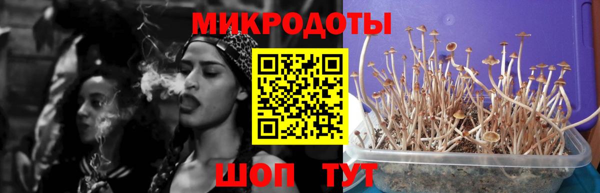 Зеленокумск  Галлюциногенные грибы Psilocybe  Вход с VPN  Галлюциногенные грибы Cubensis 
